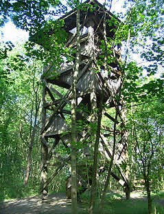 Mackenröder Spitze ist ein hölzerner Turm im östlichen Göttinger Wald und ein beliebtes Ausflugsziel. Mackenröder Spitze