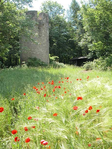 Roringer Warte