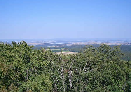 Mackenröder Spitze, Muschelkalk.