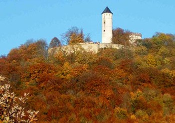 Plesseburg Plesse Burgruine